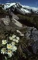 RWT 0045 041-12 New Zealand Arthurs Pass Hike